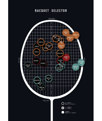 Yonex Nanoray 95 DX-3U5 (Red) Strung (Nanogy99-26lbs) rembourrage situé sous