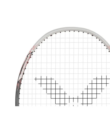 Victor Thruster 15 IIH (Gray) Faites des économies